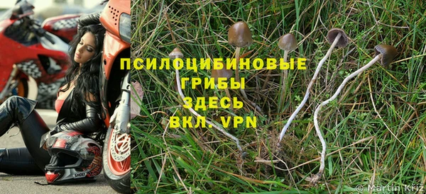 Альфа ПВП Орск