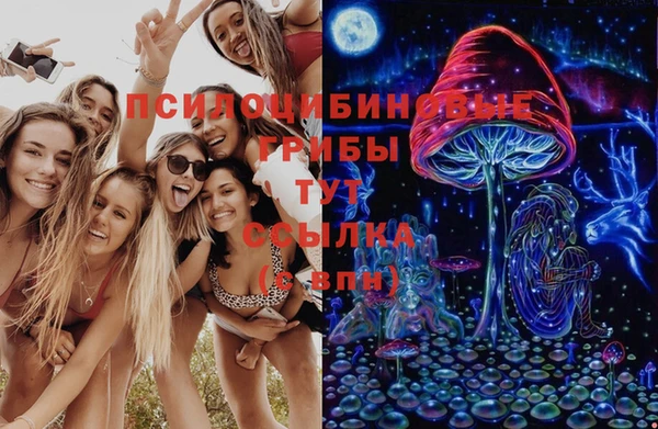 Альфа ПВП Орск