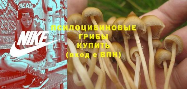 Альфа ПВП Орск