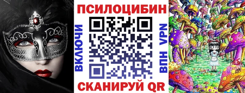Купить  Алейск  Галлюциногенные грибы Cubensis 