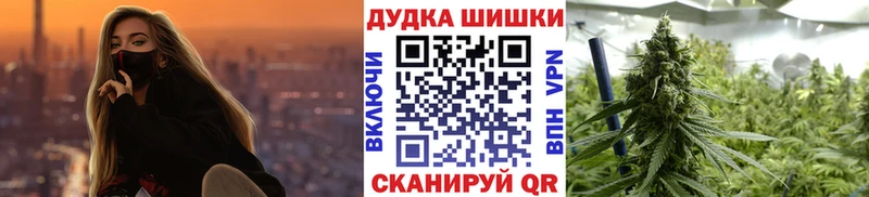 Купить закладки  Алейск  Шишки марихуана конопля 